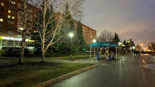 Вандалы испортили детские качели в рязанском парке