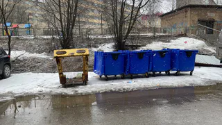 Воспламенив страсти и контейнеры: в Коми суд наказал поджигателя