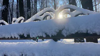 Погода на понедельник: морозно и ветрено