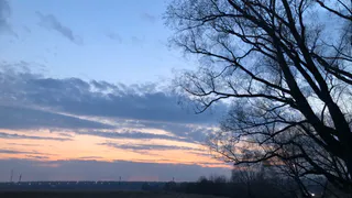 Ещё один ветреный день: в МЧС предупредили об опасной погоде