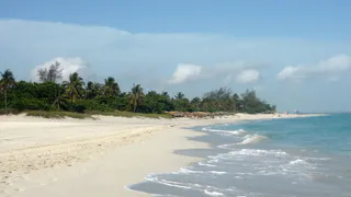 На пляже Фиджи, где нашли трупы рязанцев, обнаружено еще одно тело