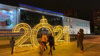 Раз, два, три, елочка, гори: Обзор новогодних красавиц в Рязани