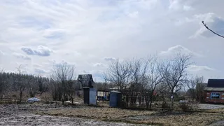 Колорадский жук не приблизится даже на метр: просто положите это в лунку при посадке картофеля