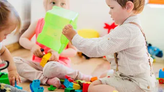 В одном из детских садов в Александрове обнаружили тараканов и плесень