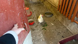 Деревенский бизнес без коров, курочек и свиней: как техника и руки приносят доход на земле