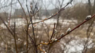 Апрельская неожиданность: Усинск встречает середину недели ливневым снегом