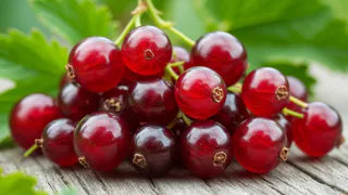 Победила галловую тлю с 1 раза — "пшикнула" на смородину и обалдела — красные пятна ушли, ни одного скрученного листочка