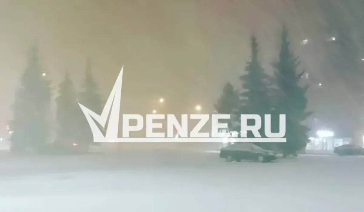 «Добираемся до дома ползком, с закрытыми глазами»: пензенцы оказались в плену метели