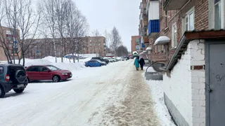 Снег нагрянет слишком рано и неожиданно: синоптики назвали дату старта зимы