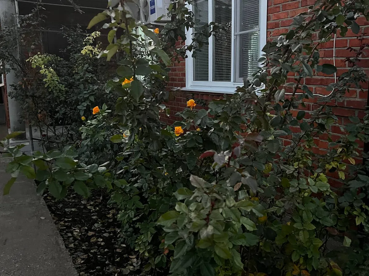 За содержание общедомового имущества можно не платить: долгожданный сюрприз для собственников с 1 апреля