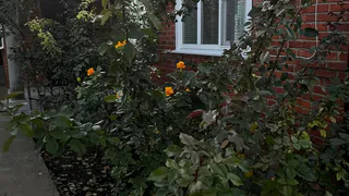 За содержание общедомового имущества можно не платить: долгожданный сюрприз для собственников с 1 апреля