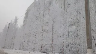 Усинск встречает день морозом, но без осадков