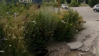 Волчья яма: на Зубковой в Рязани нашли открытый канализационный люк