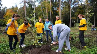 В честь юбилея: и зашумит лес Победы!