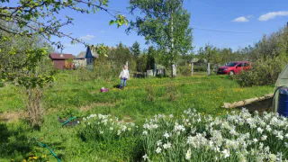 У россиян-землевладельцев могут изъять участки по новому закону