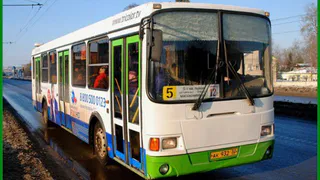 В Брянске основным видом транспорта станет автобус