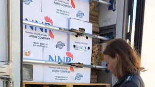 Первая в 2025 году партия инкубационного яйца поступила в Чувашию из Узбекистана