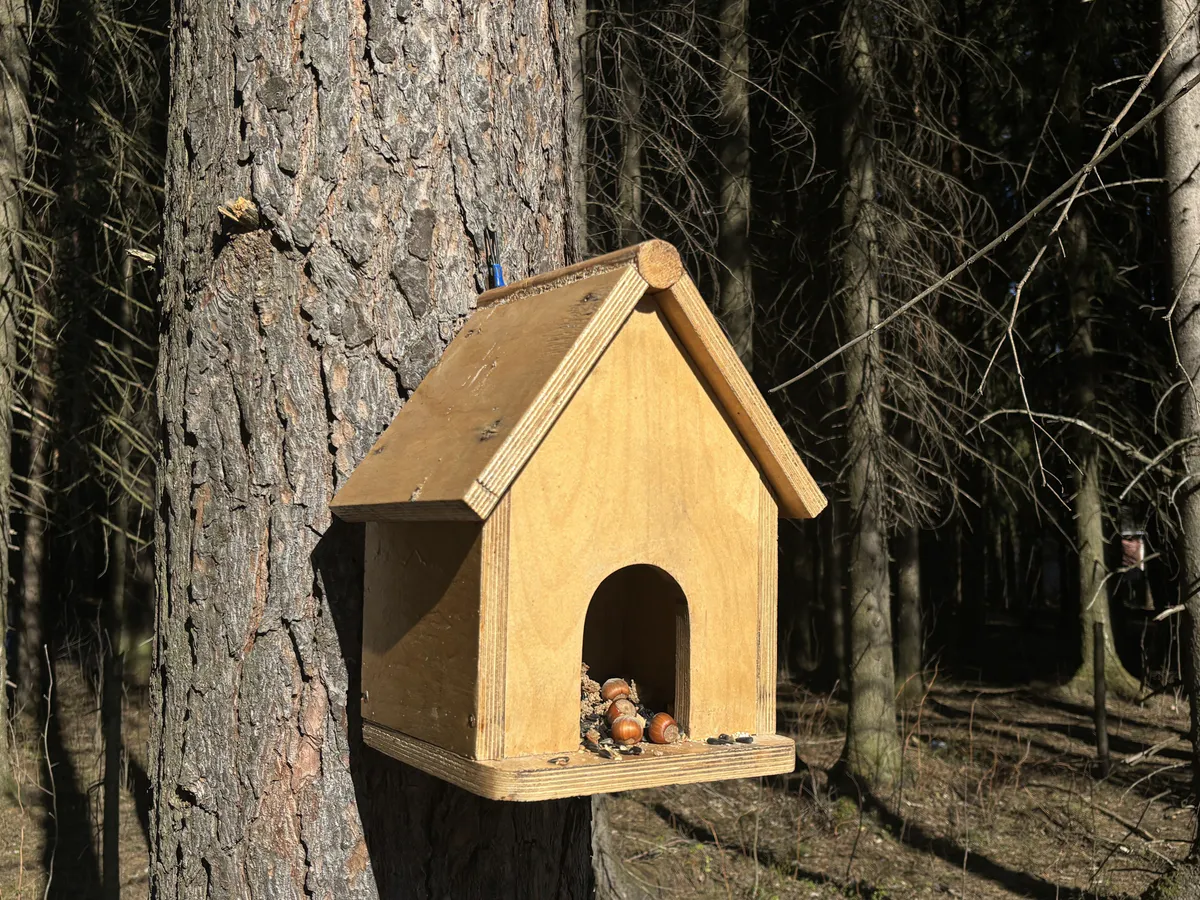 Резкое похолодание на Южном Урале: чего ждать от погоды 23 апреля