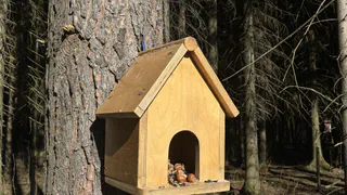 Резкое похолодание на Южном Урале: чего ждать от погоды 23 апреля