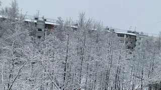 Синоптики пообещали всем один из самых холодных ноябрей за последние десятилетия