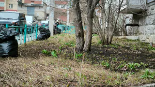 Магнитогорск открыл сезон весенних субботников