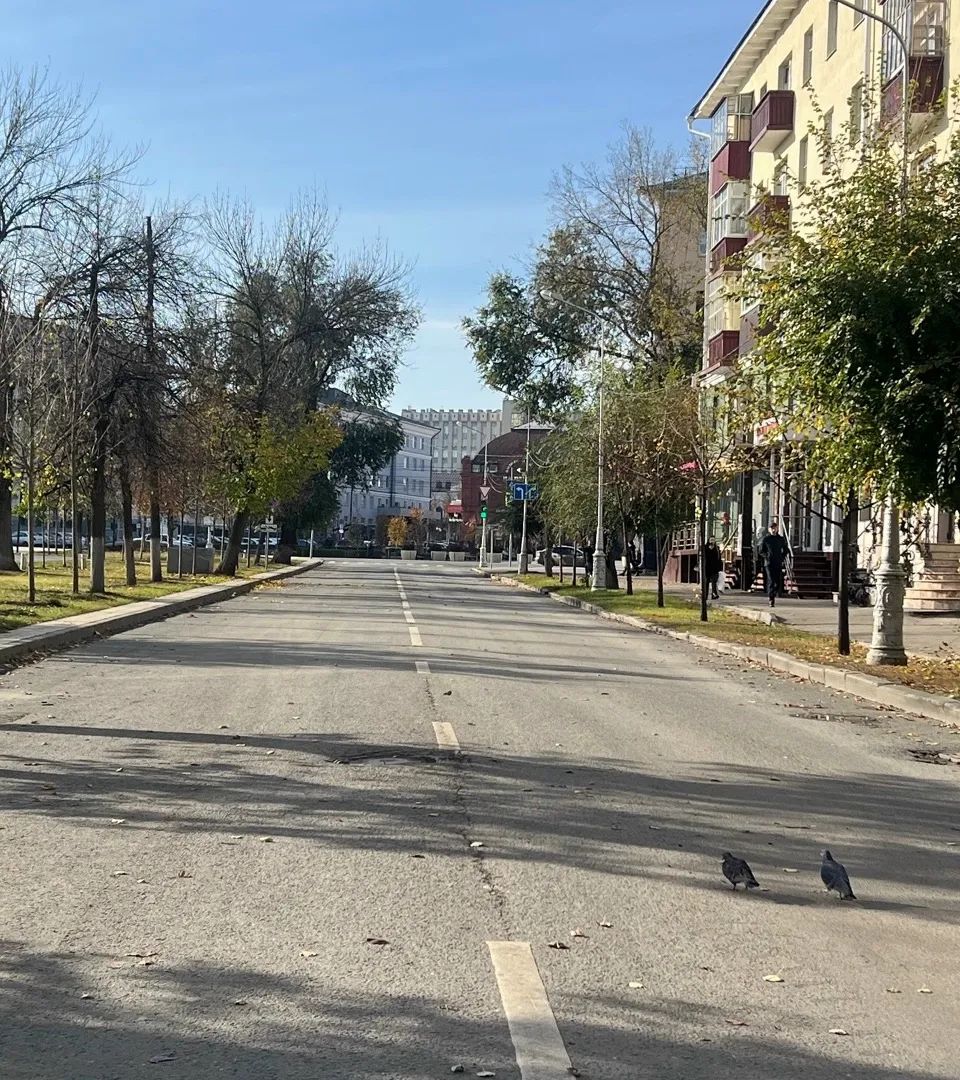 Дорожники приступят к ремонту трассы Пенза – Кондоль в мае