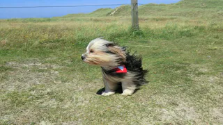 Погода на выходные: будет ветрено