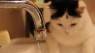 Список адресов: 7 улиц Дягилева останутся без воды