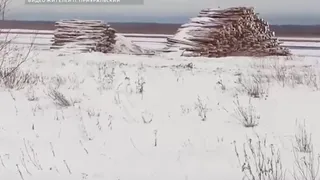 Жители Коми стали отказываться от дров