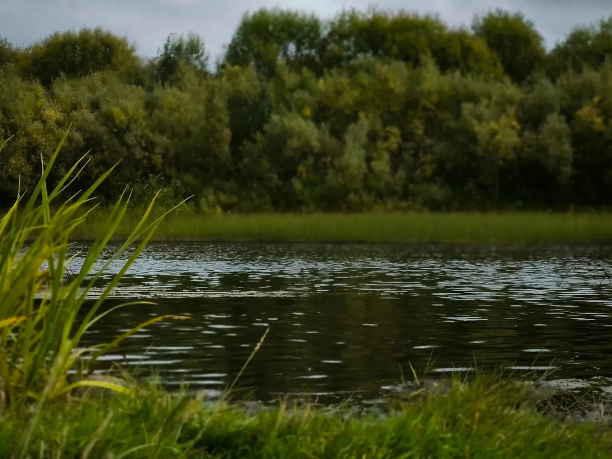 В Челябинской области спасатели извлекли тело утонувшего молодого человека