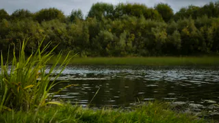 В Челябинской области спасатели извлекли тело утонувшего молодого человека