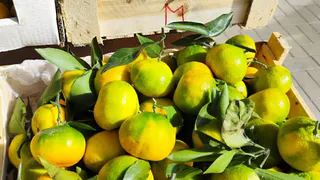 Гонялись за ними с ноября: 6 дефицитных товаров на Новый год в СССР - сейчас это скупают