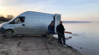 В Пензе произвели первый выпуск молоди сазана