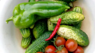 Сорт огурцов, который плодоносит как бешеный - без урожая не останутся даже новички