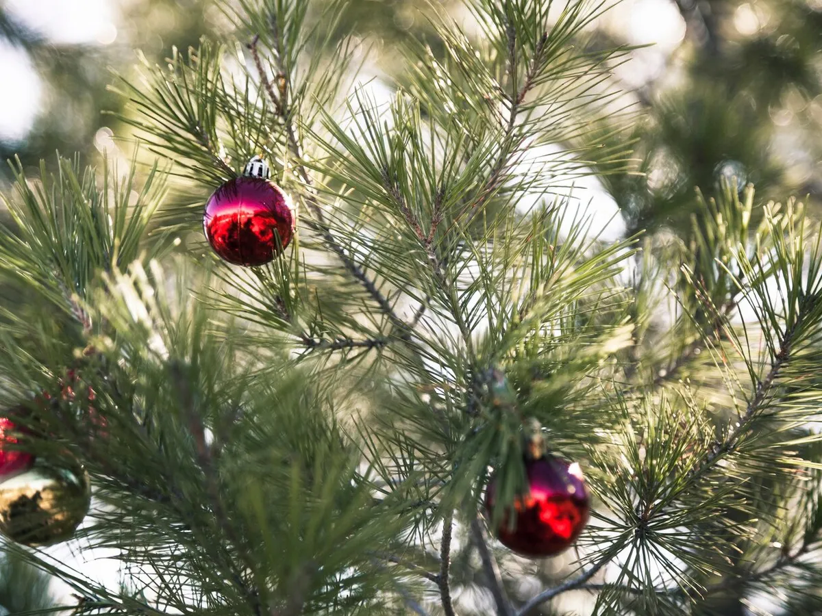 Челябинский психиатр предупреждает: Новый год может угрожать психическому здоровью