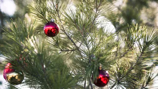 Челябинский психиатр предупреждает: Новый год может угрожать психическому здоровью