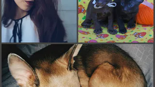 Инстаграм рязанцев: сестры, хорошего понемногу и маленький комок