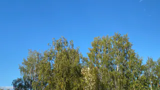 5 сентября "бабье лето" порадует Коми желанным дневным теплом