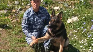 Служебная собака по кличке ЗАГ помогла задержать парня, обокравшего пекарню