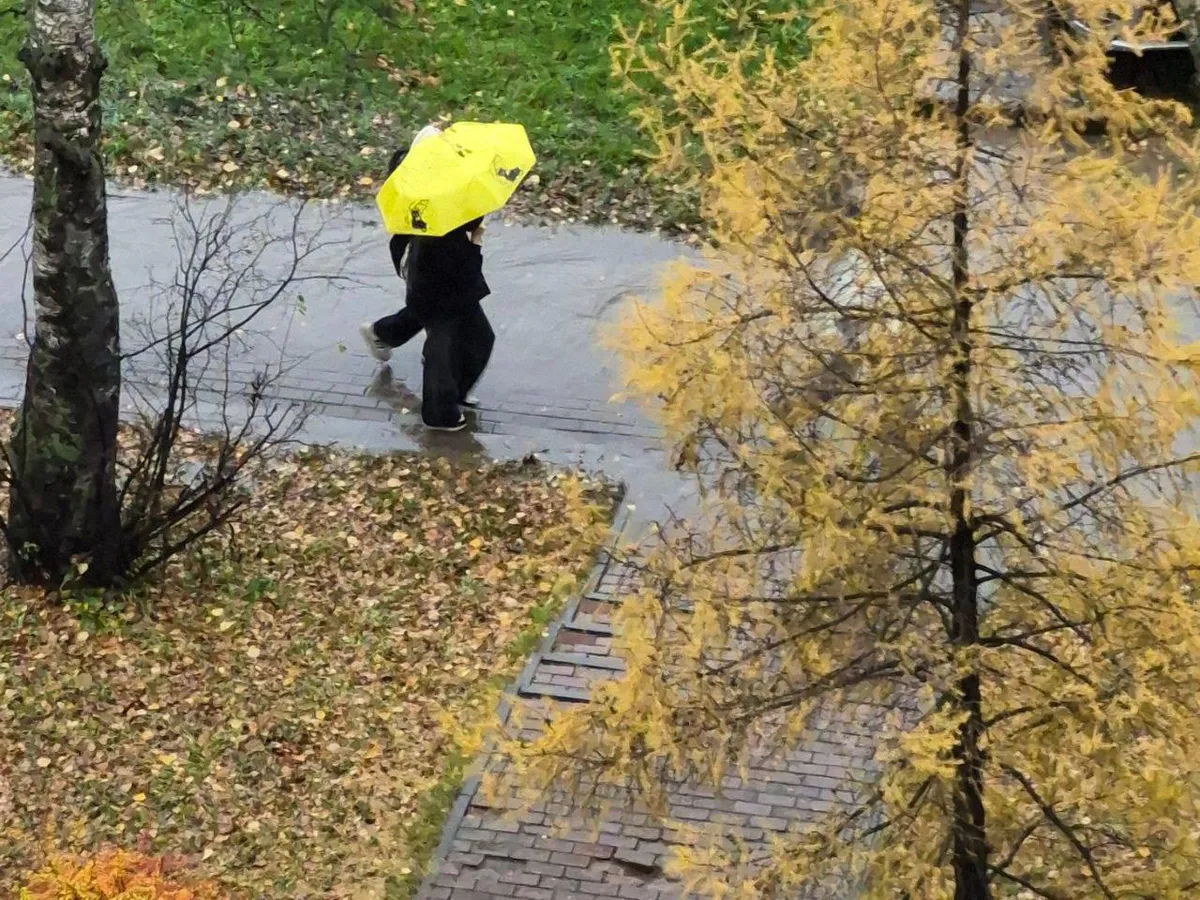 Погода в Нижнекамске в четверг, 6 ноября 
