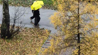 Погода в Нижнекамске в четверг, 6 ноября 