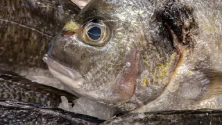 Рыба, которую вообще нельзя подавать к столу: а мы едим еще и своим детям даем - в ней живут паразиты