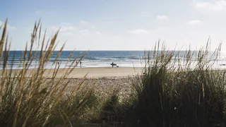 В Челябинской области пансионат машиностроительного завода на берегу моря выставлен на продажу