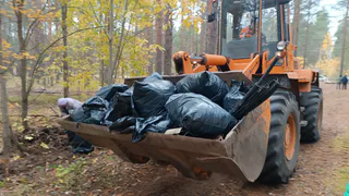 В Сыктывкаре "Зеленая Россия" объединила сотни активистов