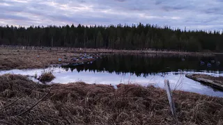 Браконьеры попались в Коми — изъяты сети и оружие