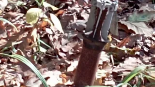 В Скопинском районе Рязанской области в лесу грибники обнаружили снаряд