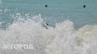 Купаться нереально, сидим у берега: черноморский пляж преподнес неприятный сюрприз отдыхающим