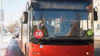 Автобусы закупаются, трудности остаются