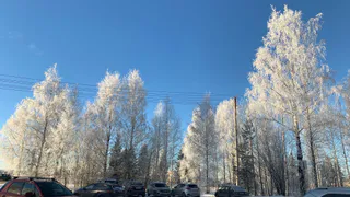 Зимы в России не будет: метеоролог Роман Вильфанд поделился точным прогнозом, будет ли снег на Новый год