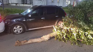 В Новоюжке водитель «Рено Сандеро» влетел сразу в два авто, дерево и скрылся с места аварии